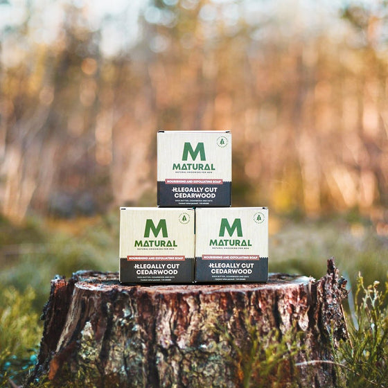Matural -All Natural Cedar wood Soap For Men ( Pack of 3 ) - 120 Grams X 3 - Matural